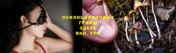 бошки Заволжск