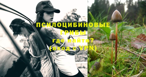 бошки Заволжск