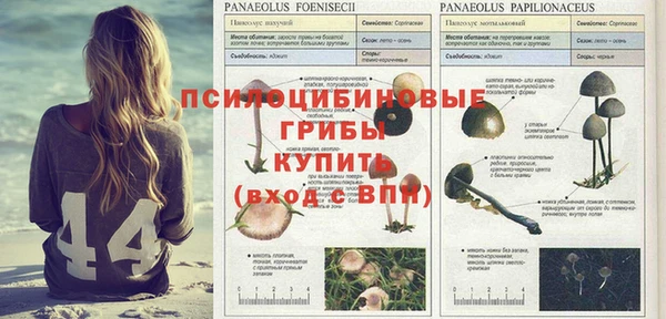 MESCALINE Заводоуковск