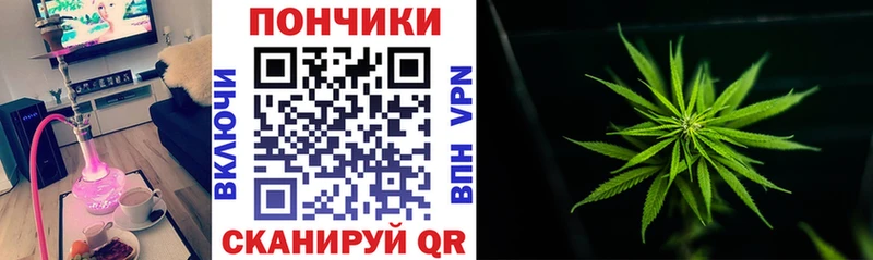 Каннабис индика  Купить где  Верхний Уфалей 